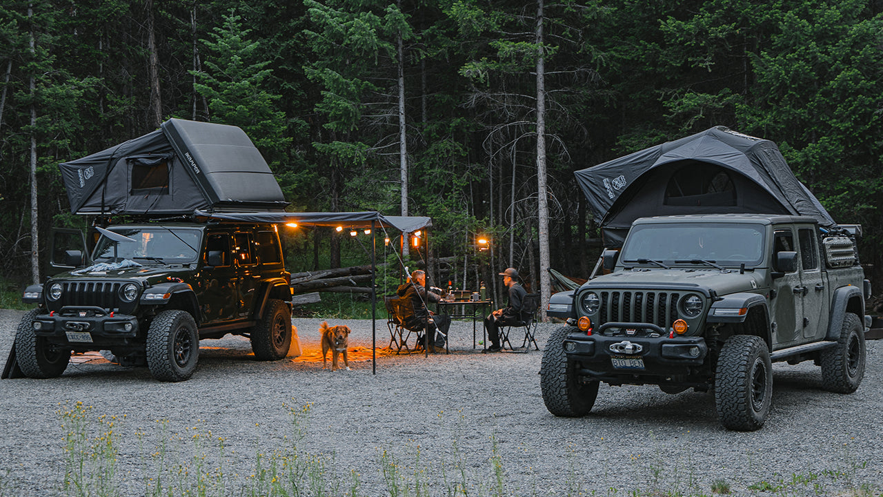 SilentFamily with Friends: Perfect Summer Night - Camping with Their Dog